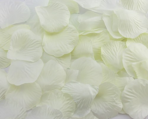 100 500 1000 - creme, weiß
